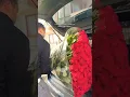 Download Lagu Beautiful Red Rose flowers vedio ##short video