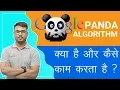 Google panda Rules of Google algorithm Ultimate guide of the Panda Update