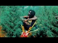 Capital Letters - Smoking my Ganja