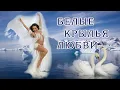 Download Lagu БЕЛЫЕ КРЫЛЬЯ ЛЮБВИ...
