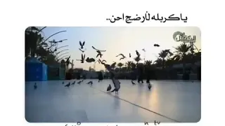 كل ما قس ه وياي الده ر  دندنها