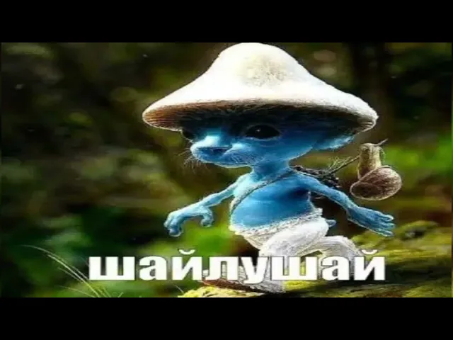 шайлушай