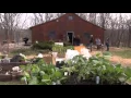 GROW Fergus Falls a film by Deb Wallwork featuring graduates of the Sustainable Food Program
