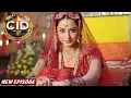 Download Lagu CID New Epidode | Crime Story 2025 | सी.आई.डी. | CID | New Episode 2025