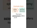 Medical Terminology Combining Form -