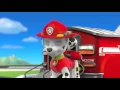 Paw Patrol Character Spotlight - Marshall