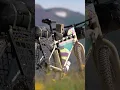 Download Lagu THE SURLY BRIDGE CLUB IS SO ADAPTABLE!