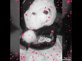 قلبي حبك تعا اشفي غليله  (بدر الشعيبي وعبد السلام)