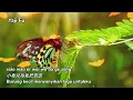 Download Lagu Wang Ri De Jiu Meng - Qing Shan  往日的舊夢 - 青山  & Terjemahan Sub Indo