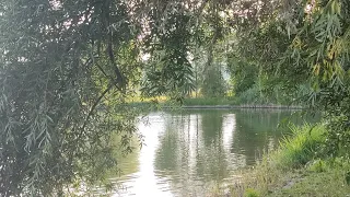 عليل يا ربي و أنت الطبيب فارس حميده 