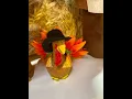 Mr Tom Turkey a wonderful little Thanksgiving craft Come follow along