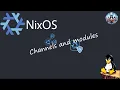 NixOS Tutorial - How To Use Channels Modules