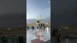 طيبه لزورها لايك اشتراك 