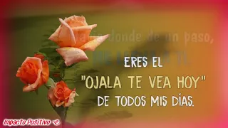 bellas imagenes con frases de amor para dedicar al ser amado