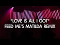 Feed Me & Crystal Fighters - Love Is All I Got (Feed Me's Matilda Remix Live)