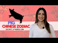 PIG Chinese Zodiac Sign - Everything You Need To Know