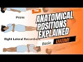 Anatomical Positions Explained Supine Prone Fowler s Lithotomy Basic Anatomy