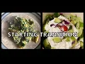 Optavia Beginning Transition