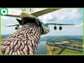 Download Lagu Verschrikkelijke terreinwagens: de dramatische en extreem riskante reddingsmissie met zware machines