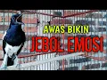 Download Lagu AWAS BIKIN JEBOL EMOSI LANGSUNG KONSLET GACOR ON !! PANCINGAN KACER GACOR TERAMPUH.