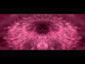BLACKPINK - ‘Pink Venom’ Visualizer