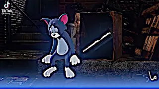 الي سوه توم جيري مات    دندنها