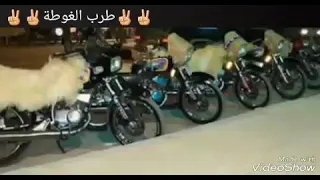 ولحب يامحبوب ماهو شاكارة وألوب تحب ألوب   باسل القضماني حفلة طرب دندنها