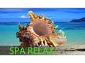 Download Lagu 6 Hour Relaxing Spa, Calming, Background, Sleep, Spa, Massage, ☯357