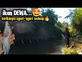 Download Lagu tarikanya ngeri-ngeri sedap‼️mancing ikan dewa di sungai brantas kota malang