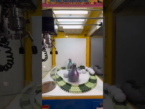 ハトの卵の中にあるロッカーの鍵を狙った結果ww #ネタ #自宅 #shorts #クレーンゲーム #ufoキャッチャー #clawmachine #arcade #unboxing #blindbox