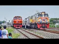 Download Lagu LOKOMOTIF MERAH PALING LANGKA DIHAJAR KERETA NGEBUT LIVERY SPESIAL!! Kereta Api di Stasiun Sumobito
