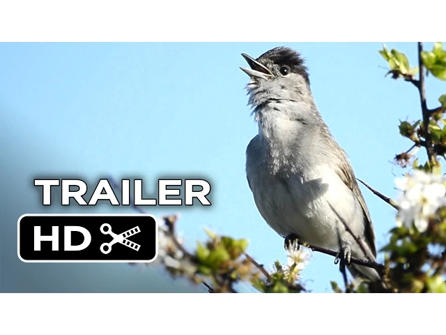 Emptying the Skies Official Trailer 1 (2015) - Documentary HD