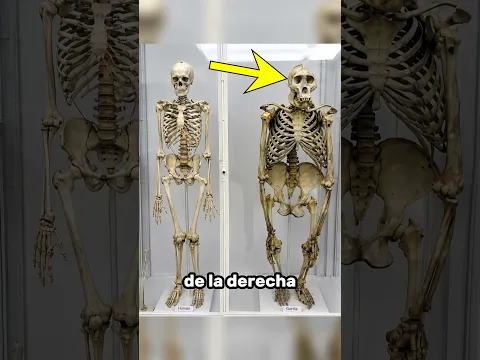 No Se Dio Cuenta De Esto!💀