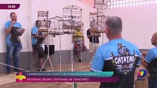 Campeonato de canto de pássaros reúne criadores de todo o país em SC