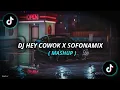 Download Lagu DJ HEY COWOK PERAWAN KU SUDAH HILANG X DJ SOFONAMIX MASHUP VIRALL TIKTOK YANG KALIAN CARI