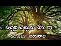 Lagu పచ్చాని చెట్టు నేనురా|pachani chettu nenu raa| song jayaraju lyrical video