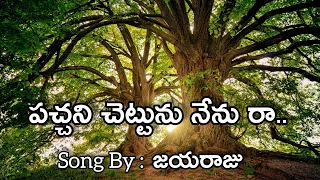  pachani chettu nenu raa song jayaraju lyrical video