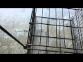 Assembling dog crate