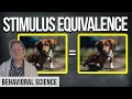 Stimulus Equivalence in ONE Minute ABA Key Terms
