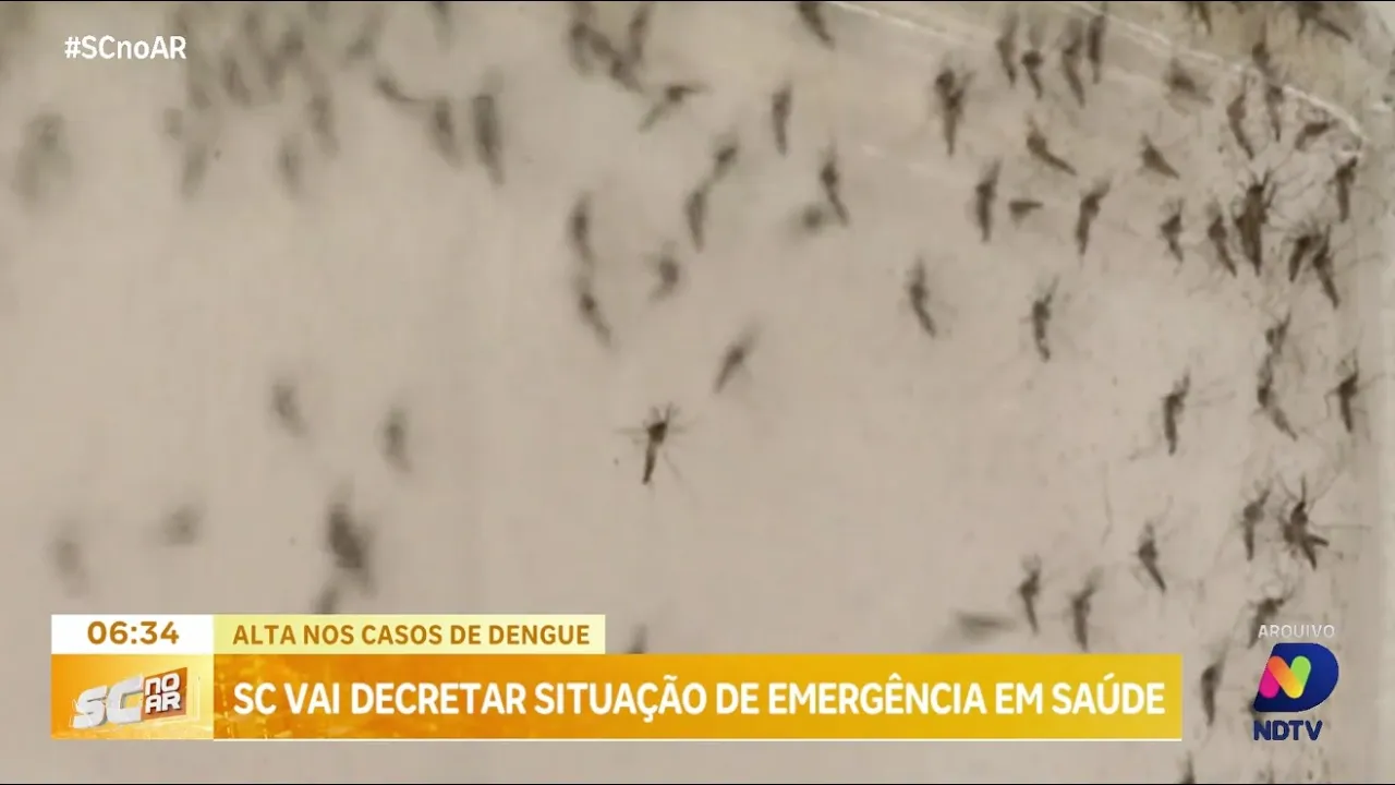 Santa Catarina declara situação de emergência em saúde devido ao aumento dos casos de dengue