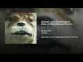 Spread Love (Paddington) (feat. DVNO) (Mercer Remix)