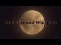 KronmDJ – IN THE DARK (Original Mix) [Symphonic Starter]