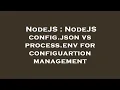 NodeJS NodeJS config json vs process env for configuartion management