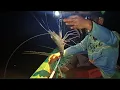 Lagu SUNGGUH,🔥🔥MENYALA 🔥🔥TARIKAN UDANG DI MALAM HARI SAAT MANCING BERSAMA ADIK SAYA