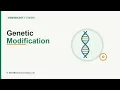 Genetic Modification Edexcel IGCSE Biology Revision