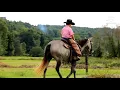 Stormy 4yr old quarter horse mare consigned to the Yoder Brothers auction