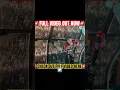 Download Lagu JEFF HARDY DIES‼️ #wrestling #wwetoys #wwe #wsc #wwefigures #picfed #viral #memes #phw #shorts #aew
