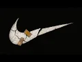 Download Lagu Why Nike Isn’t Trying to Make Better Shoes Anymore