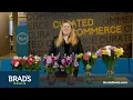 Florist delivered flowers vs flowers that are shipped