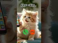 Kengro calling #ringtone #cat #trending #cutecat #youtubeshorts #viralshort #calling #kitten